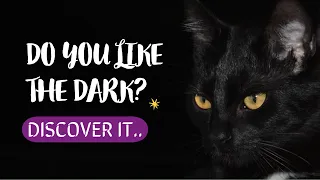 🐱¿Do CATS like the DARK or are they AFRAID of it?