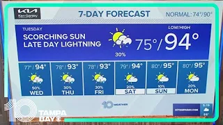 Tampa Bay area evening forecast; June 3, 2024 | 10 Weather