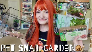 building a snail garden 🐌🍄