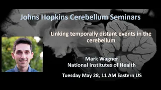 Mark Wagner: temporal basis set for cerebellar learning