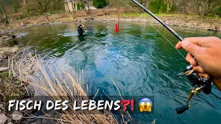 The most awesome & beautiful fish of my life ⁉️😱 🎁 Surprise while trout fishing