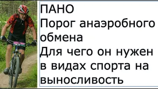 Порог Анаэробного Обмена, что это такое и как его использовать в видах спорта на выносливость .