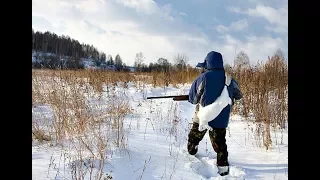 Эти секреты помогут настрелять мешок зайцев! Охота на зайца зимой с подхода