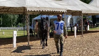 Чемпионат России по конным пробегам. Арабские и кабардинские лошади / Ляна Джэнкс