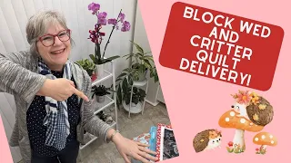 👗What’s in Your closet? - Block #3 & Critter #2 Delivery!