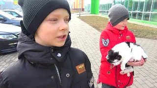 Помогли котёнку. БРОС ШОУ