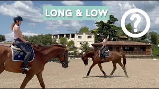 Stretching / Long and low para caballos | Tutorial