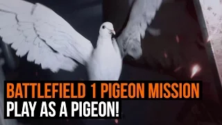 Battlefield 1 Pigeon Mission Gameplay - Play as a Pigeon!