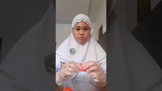 MEMBUAT PATUNG DARI PLASTISIN