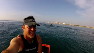 SUP with Whales