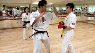 Ashihara Karate: Sabaki (Action & Reaction)