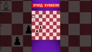 💥КОНЬ И СЛОН - СТРАШНАЯ СИЛА #chess #шахматныезадачи #шахматы #chesspuzzle