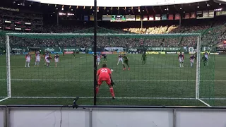 Portland Timbers - Diego Valeri PK Goal | 10-15-2017 | Fan View