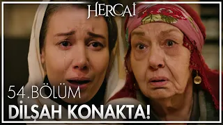 Anne kızın büyük kavuşması! - Hercai 54. Bölüm