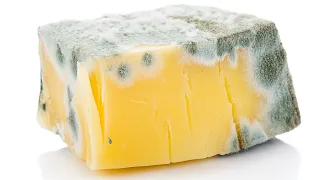 The Big Lies You've Been Believing About Cheese