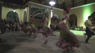 ballet proyección de Tarija