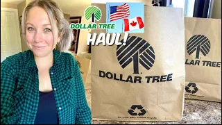 Dollar Tree Haul! Groceries, Makeup, Cleaning Products & More! Unreal Deals!
