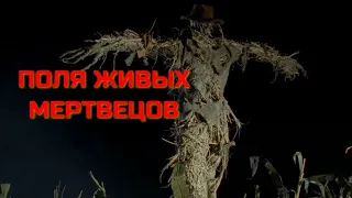 ПОЛЯ ЖИВЫХ МЕРТВЕЦОВ. Ужасы.