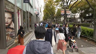 4K・ 【4K】Omotesando-Harajuku Halloween parade - 2018