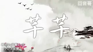 回音哥 - 芊芊【動態歌詞】