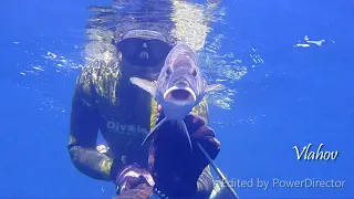 Spearfishing Croatia, Oleg Vlahov, 2019 10