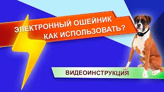 Электронный ошейник для дрессировки собак. Как пользоваться? Видеоинструкция. RT-880