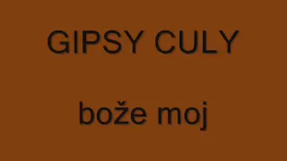 Gipsy Culy 2010