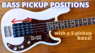 Bass Pickup Positions, and Combinations - Bass With 5 Pickups
