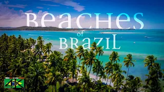 【4K】The Most Beautiful Beaches of BRAZIL 2020 | Cinematic Wolf Aerial™ Drone Film