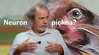 No to pięknie #1 | Neurony piękna?  Włodzisław Duch