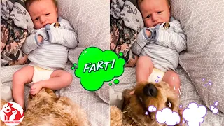 Top Funniest Baby Make A Super Fart #6 -  Animals and Baby Moments - Funny Pets Moments