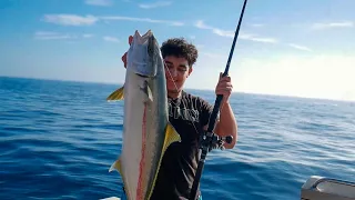 YELLOWTAIL and CHASING TUNA AT CATALINA ISLAND