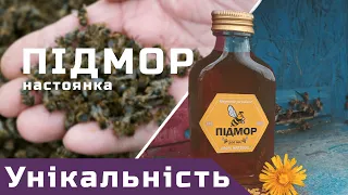 Унікальність складу бджолиного підмору і широкий спектр дії настоянки з нього