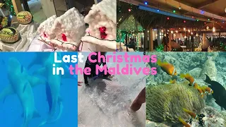 Christmas in the Maldives on a Budget & Shark Excursions | 크리스마스 몰디브 저예산 여행 & 상어 스노클링 투어