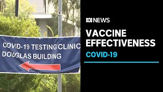 As NSW reopens, new data shows how vaccines are protecting us | ABC News