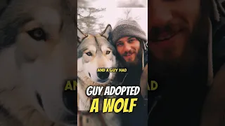 Joe Rogan: Guy Adopted A Wolf😲 #joerogan #wolf #animals