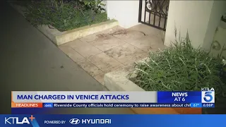 Man charged in 'heinous sexual assaults' in Venice