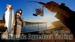 Catching Striped Bass in COLD weather! California Aqueduct Fishing.