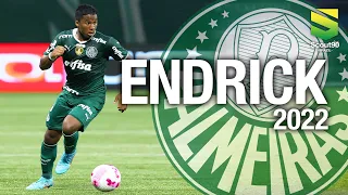 Endrick 2022 - Magic Skills, Dribles & Gols - Palmeiras | HD