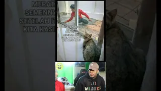 Moment Ketika Kucing Mau Ganti Nama | Meme Lucu | Meme Indonesia