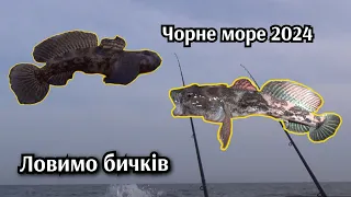 Чорне море 2024.Рибалка на бичка з пірсу.