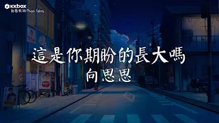 向思思 - 這是你期盼的長大嗎 【動態歌詞/Pinyin Lyrics】『你很累對嗎，這是你期盼的長大嗎。』總會有人, 抓不住的晚風