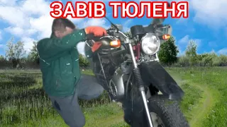 Нарешті завів "ТЮЛЕНЯ". ВСЮДИХІДНИЙ МОТОЦИКЛ ТУЛА ТМЗ-5.951