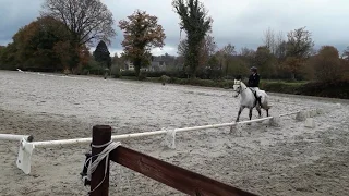 Dressage Club 1 - La Renarderie - 25/11/18