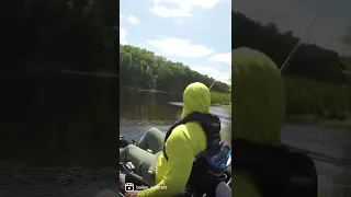 Running into an ALLIGATOR in a KAYAK