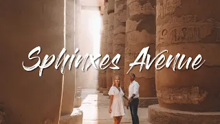 Opening of the Sphinxes Avenue! 25 November: Before, During and After the Ceremony #Egypt #Luxor