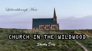 CHURCH IN THE WILDWOOD NEW ALBUM  by Lifebreakthroughmusic