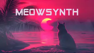 Meowsynth 🐱 A Chillwave Chillsynth MIX 🎶 synthwave music