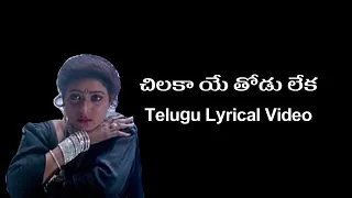 Chilaka Ye Thodu Leka Telugu Lyrics Video | Subhalagnam | Sirivennela | S.V.Krishnareddy