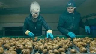 Closing the Crop Gap: Bozena's Story | Poland